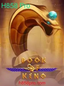 BookOfKeno: Uma Nova Era no Mundo dos Jogos Digitais