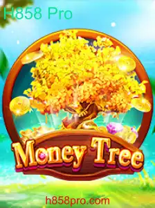 Explorando o Jogo MoneyTree e a Chave H858 Pro