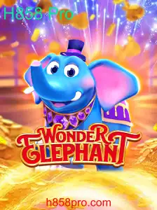 WonderElephant: Uma Nova Aventurade Jogos e Estratégias com o H858 Pro